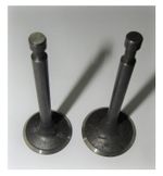 Клапан впускной/выпуской (комплект,2 шт )GX390/Valve kit