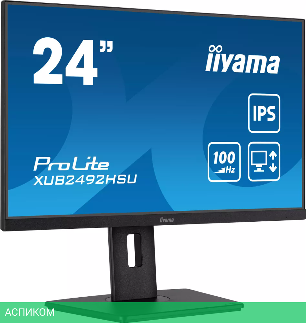 Монитор Iiyama ProLite XUB2492HSU-B6