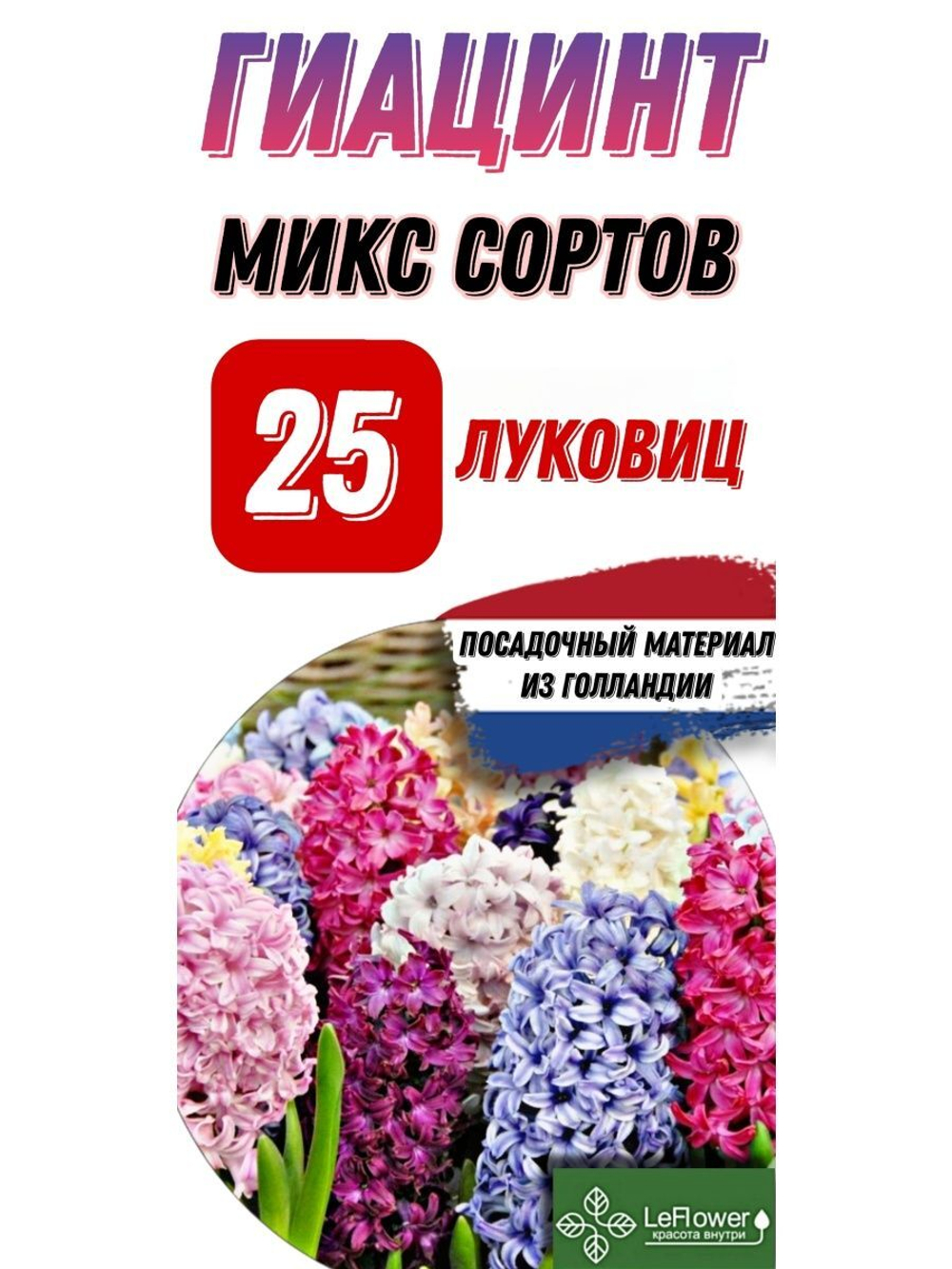 Гиацинт Луковицы, Микс сортов, 25шт, Нидерланды