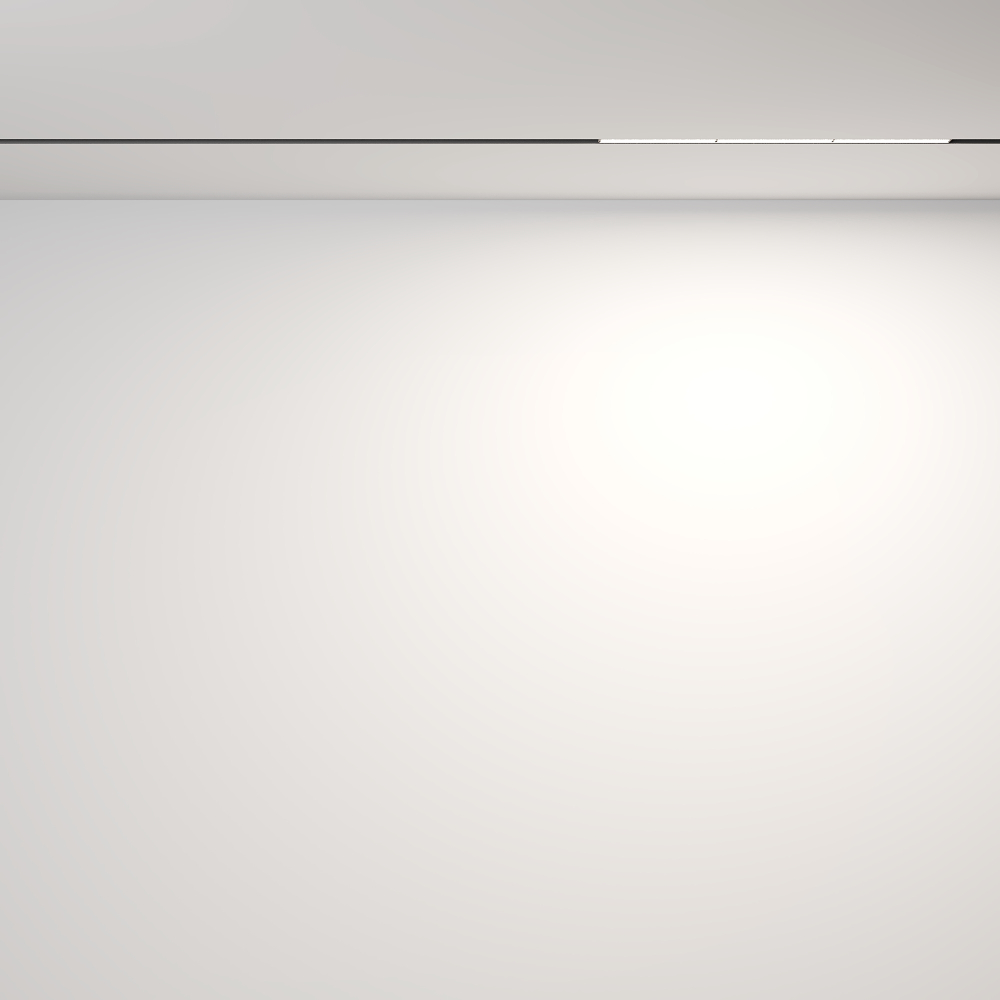 Магнитный трековый светильник Maytoni Parete TR106-2-18W4K-B