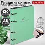 Тетрадь на кольцах А5 160х212 мм, 120 листов, картон, фольга, клетка, BRAUBERG, "Pastel", 404734