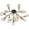 Потолочная светодиодная люстра ST Luce Foglione SL437.402.20