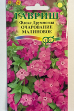 Флокс Очарование малиновое друммонда, 0,05 г СМЦ-286