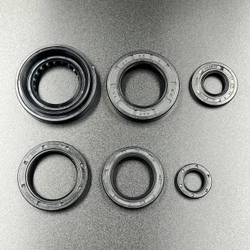 Набор резиновых уплотнений и сальников ATV 800 (ZIBO)