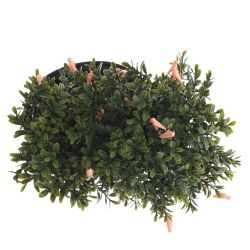 GAEM Цветочная композиция, L28 W15,5 H26 см