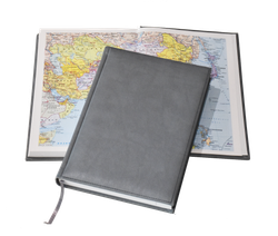 Ежедневник Lediberg Tucson Серый