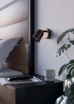 Настенный светильник Eglo CAMALDOLI 901948