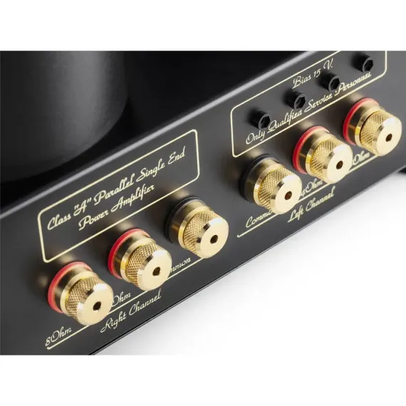 Mastersound Evolution 845 Black Wood