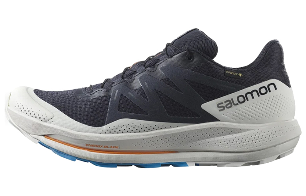 SALOMON Pulsar Trail Gtx "Night Sky" / L00