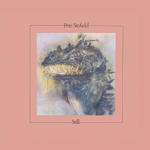 Peter Sinfield / Still (LP)