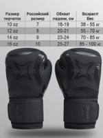 Перчатки боксерские Punch Elite черные 10-14 унций
