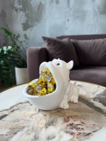 Кашпо - Органайзер Бульдог декор