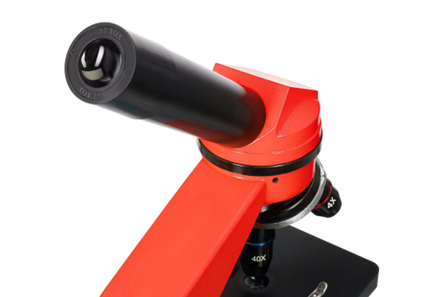 Микроскоп Levenhuk Rainbow 2L Апельсин с набором для опытов Levenhuk K50