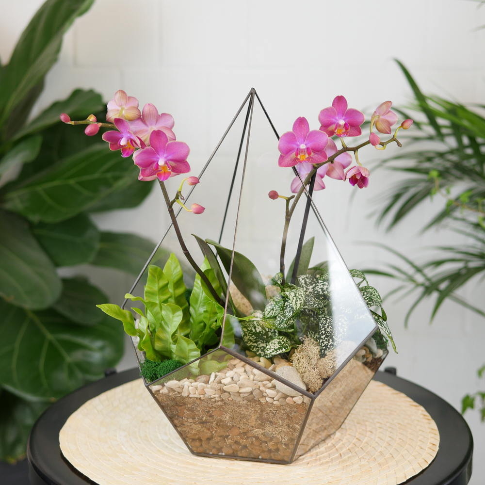 Готовый флорариум с лиловой орхидеей Капля L