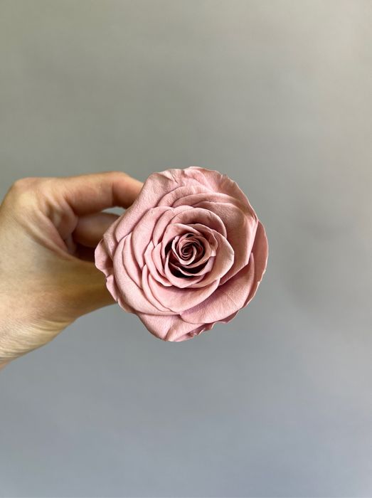 Роза классическая светло-коричневая d=4-5 см (упак 8 шт)