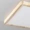 CL738K242V Бейсик Клен Св-к Накл. LED 24W*Мульти