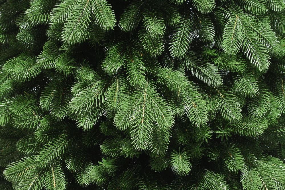 Ель искусственная «Изольда» (Литая хвоя) 150 см / 1,5 м