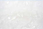 Ateliero 1,06 м 287781 Ametist