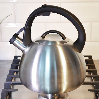 Чайник 2,7л нерж со свистком, матовый, ручка бакелитовая с силиконовым покрытием, индукция, "Daniks"