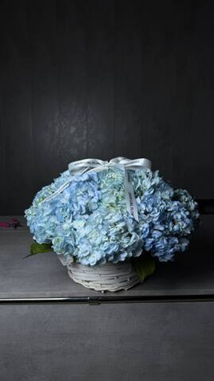 Гортензии в корзинке