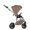 Коляска ANEX Eli 2 в 1 (el-03) Secret