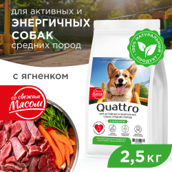 Корм сухой для взрослых собак средних пород, премиум полнорационный комплекс, для активных и энергичных, с ягненком, 2,5 кг, QUATTRO