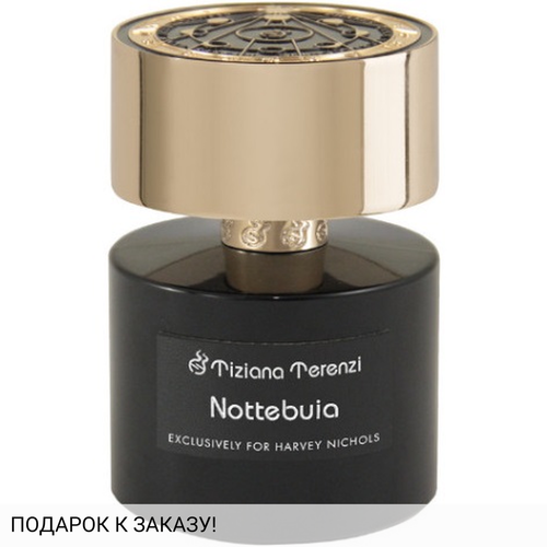 Tiziana Terenzi Nottebuia