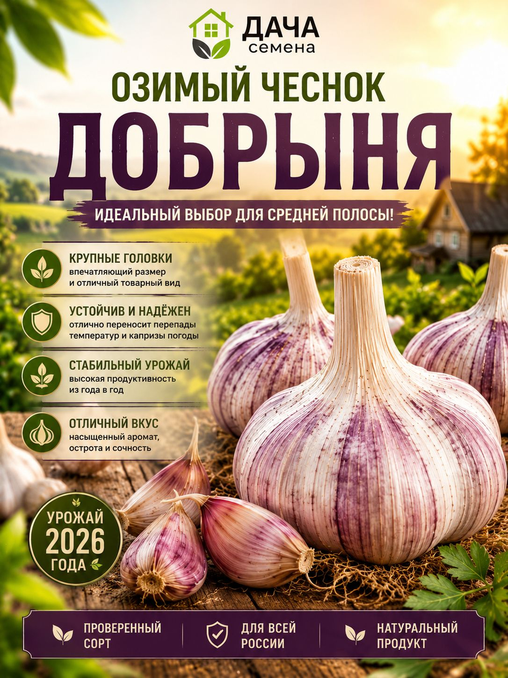 Чеснок озимый Добрыня 300 г, посадочный материал, семенной чеснок, крупные зубки, морозостойкий сорт
