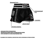 Тайские шорты HT Base 2.0 Black