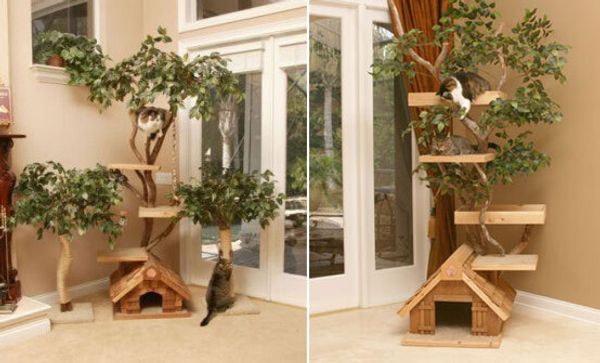 Кошачий дом. Красивые и оригинальные решения для вашей любимицы