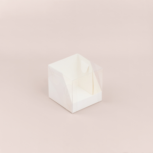 Коробка с пластиковой крышкой 100*100*100 мм