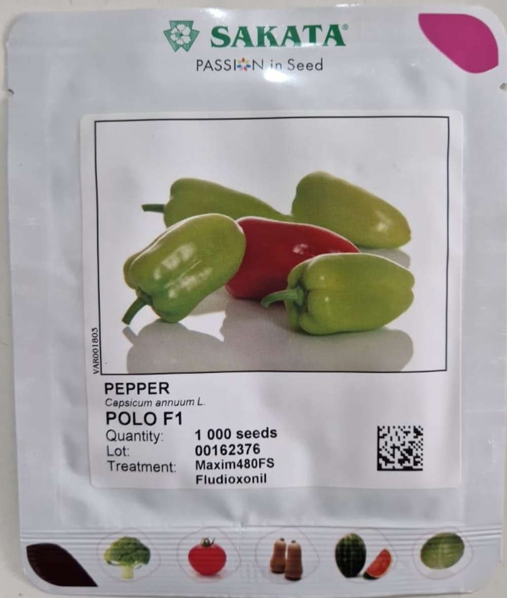 Перей Сладкий Поло F1- Polo F1 1000 семян