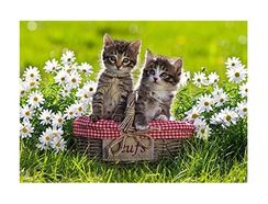 Puzzle Picknick auf der Wiese