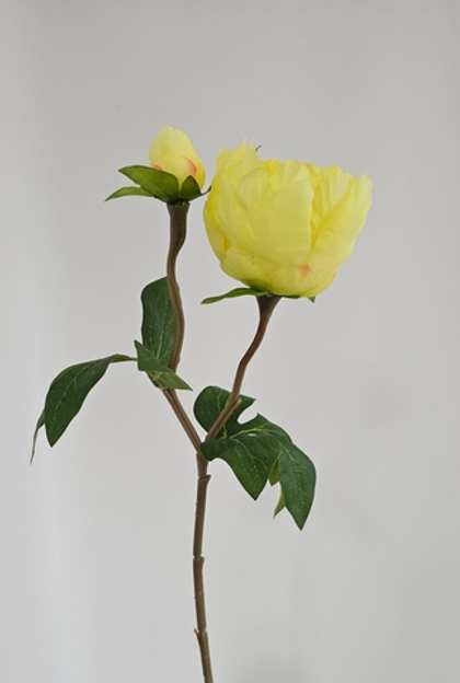 Бутон пиона / Арт 2461