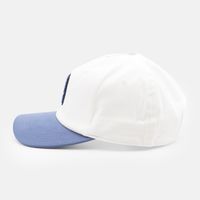  Кепка Dickies Latty Dad Cap артикул:DK0A888EC481 - купить в магазине Дайс
