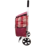 Тележка хозяйственная с сумкой (100*40*35см, колеса 21см,грузоподъемность до50 кг) бордо SYD100B-2