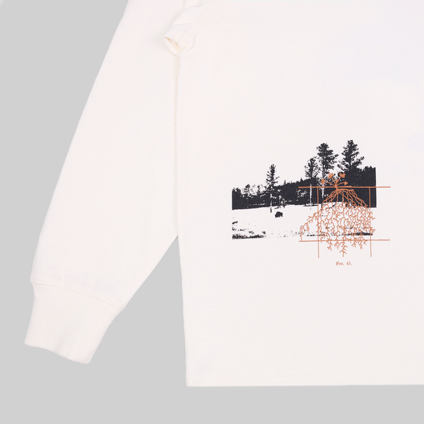 Лонгслив мужской Dickies Kenbridge Tee артикул:DK0A4YVRC581 - купить в магазине Дайс