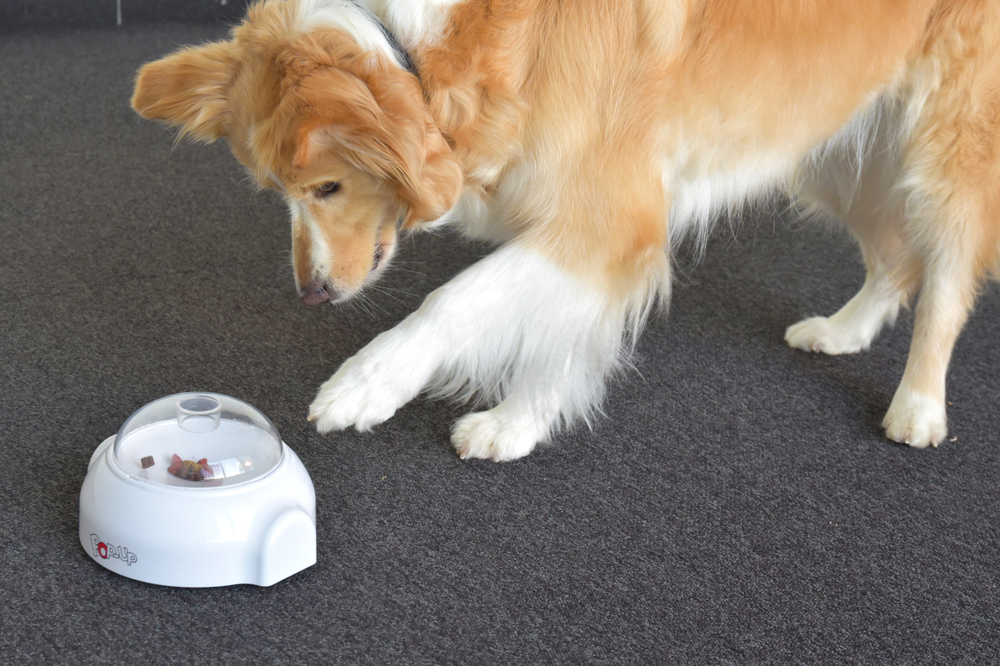 Развивающая игрушка для собак POPUP, 20 см Д х 18 см Ш х 11 см В, белый, Flamingo