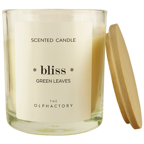 Свеча ароматическая 40ч Ambientair The Olphactory Bliss Green Rhubarb