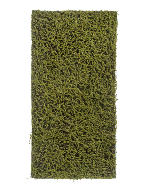 Мох Сфагнум Fuscum оливково-зелёный (полотно на подложке среднее) 50х100 см 24/24 20.0820412M