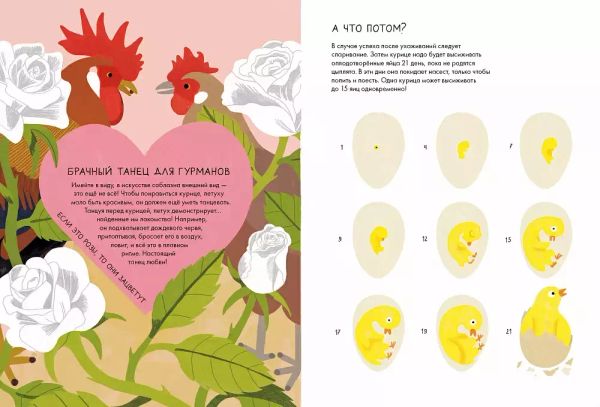 Курицеведение. Дачная энциклопедия