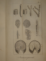 "Основание ботаники и физиологии растений. В 2-х частях". Сочинение А.Ришара. 1837г.