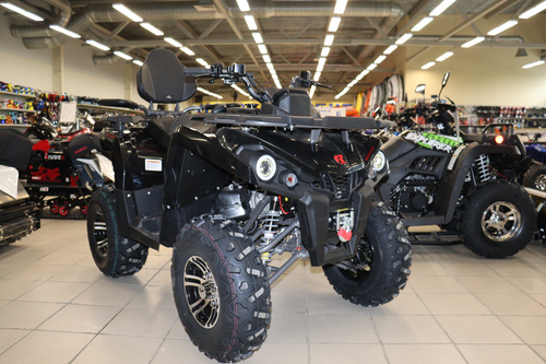 Квадроцикл PROMAX RENEGADE 280 LONG WINCH PRO (2025)