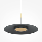 Подвесной светильник Maytoni MOD041PL-L15B3K1