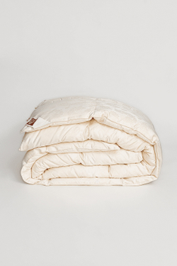 Одеяло всесезонное 160х220 German Grass Silk Down