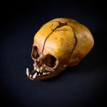 Маленький монстр