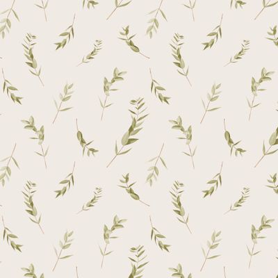 Веточки эвкалипта