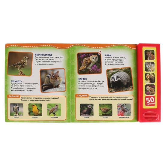 Говорящая энциклопедия. Лесные животные Степанов В.А. (5 кн. 50 звуков) 200х175мм 10стр Умка