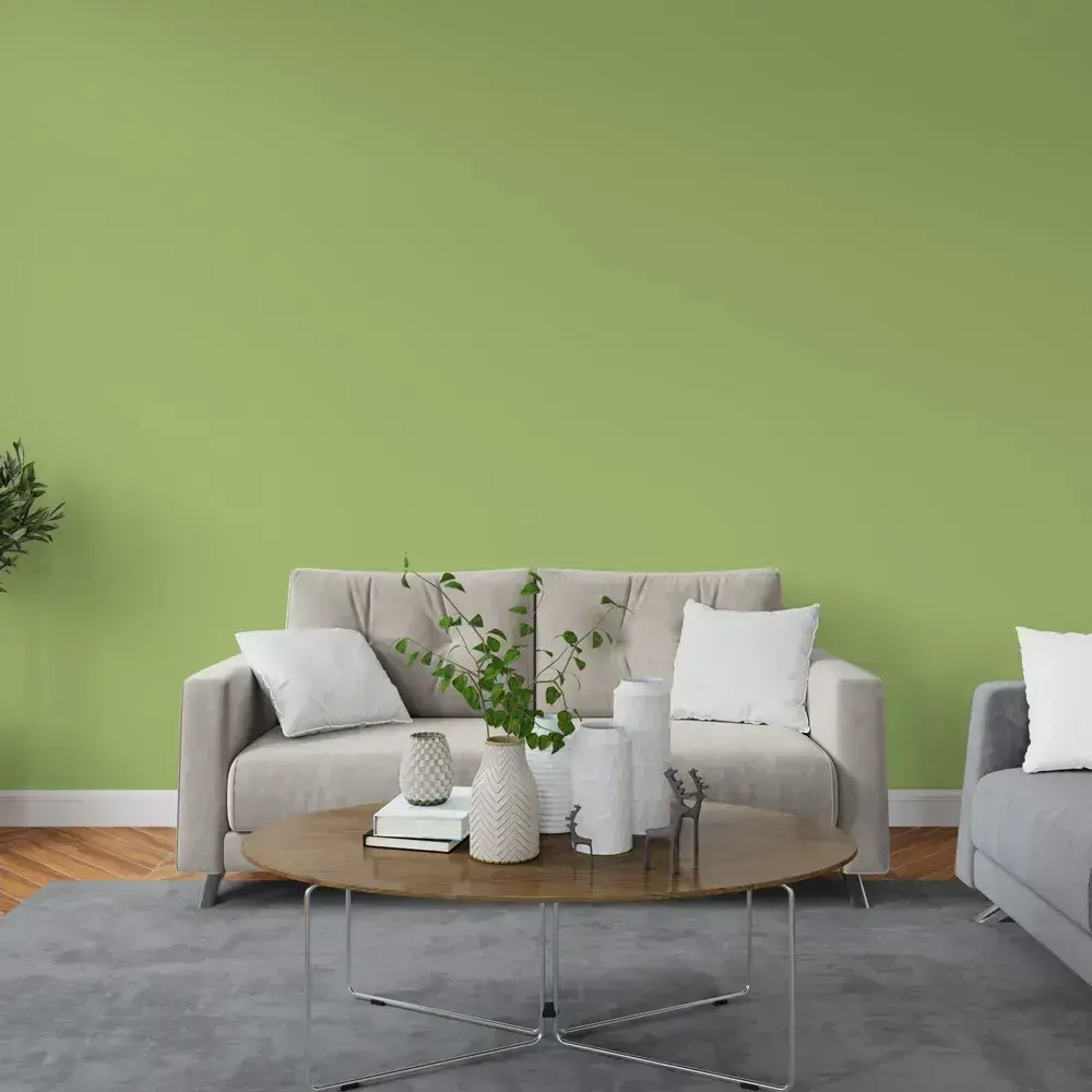 Краска интерьерная PARITET Оливковый 2,5л