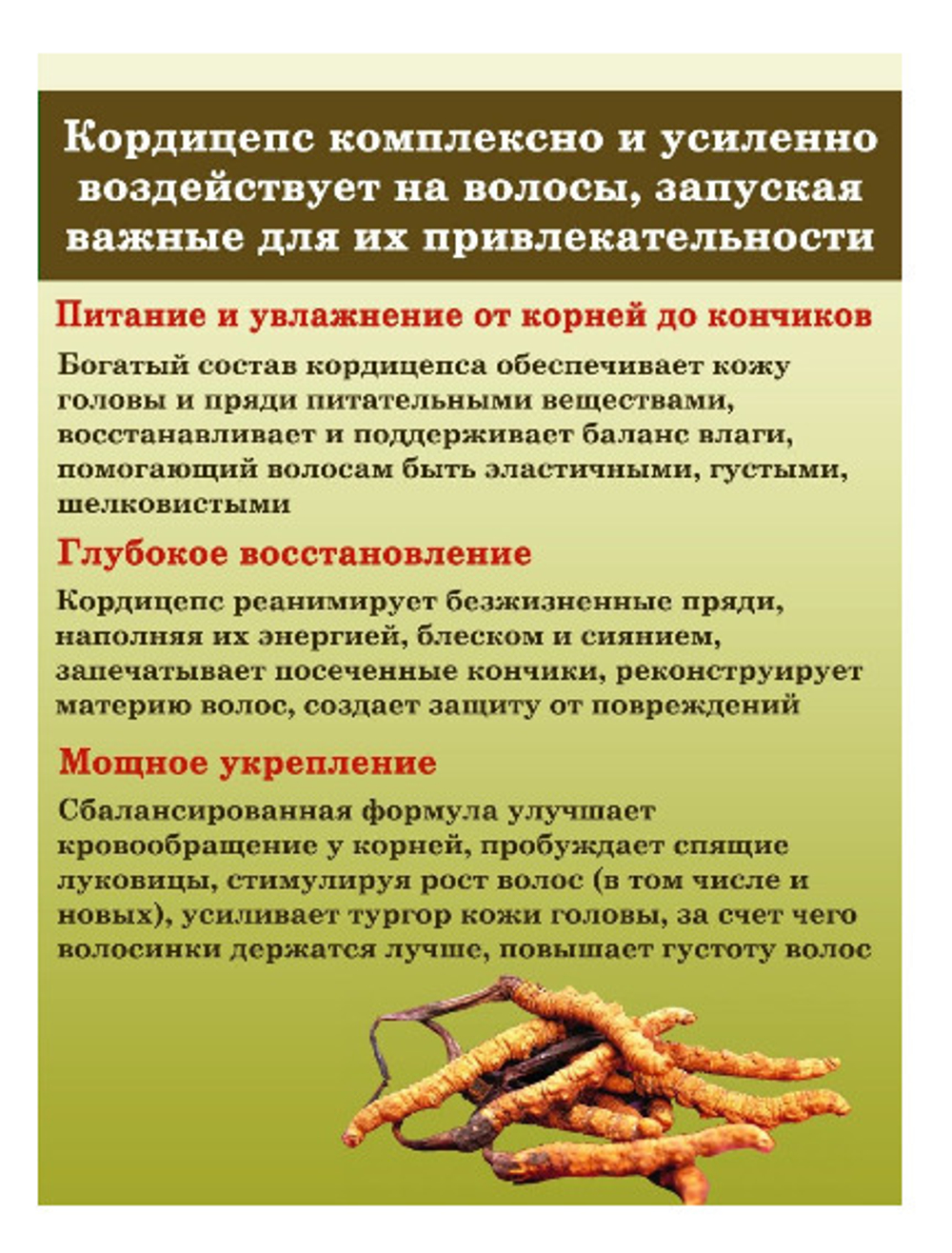 Batel.  Маска с экстрактом кордицепса для восстановления поврежденных и секущихся волос